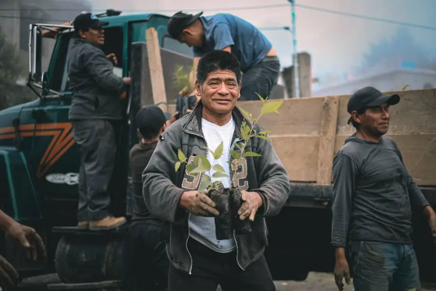 Entrega de plantas
